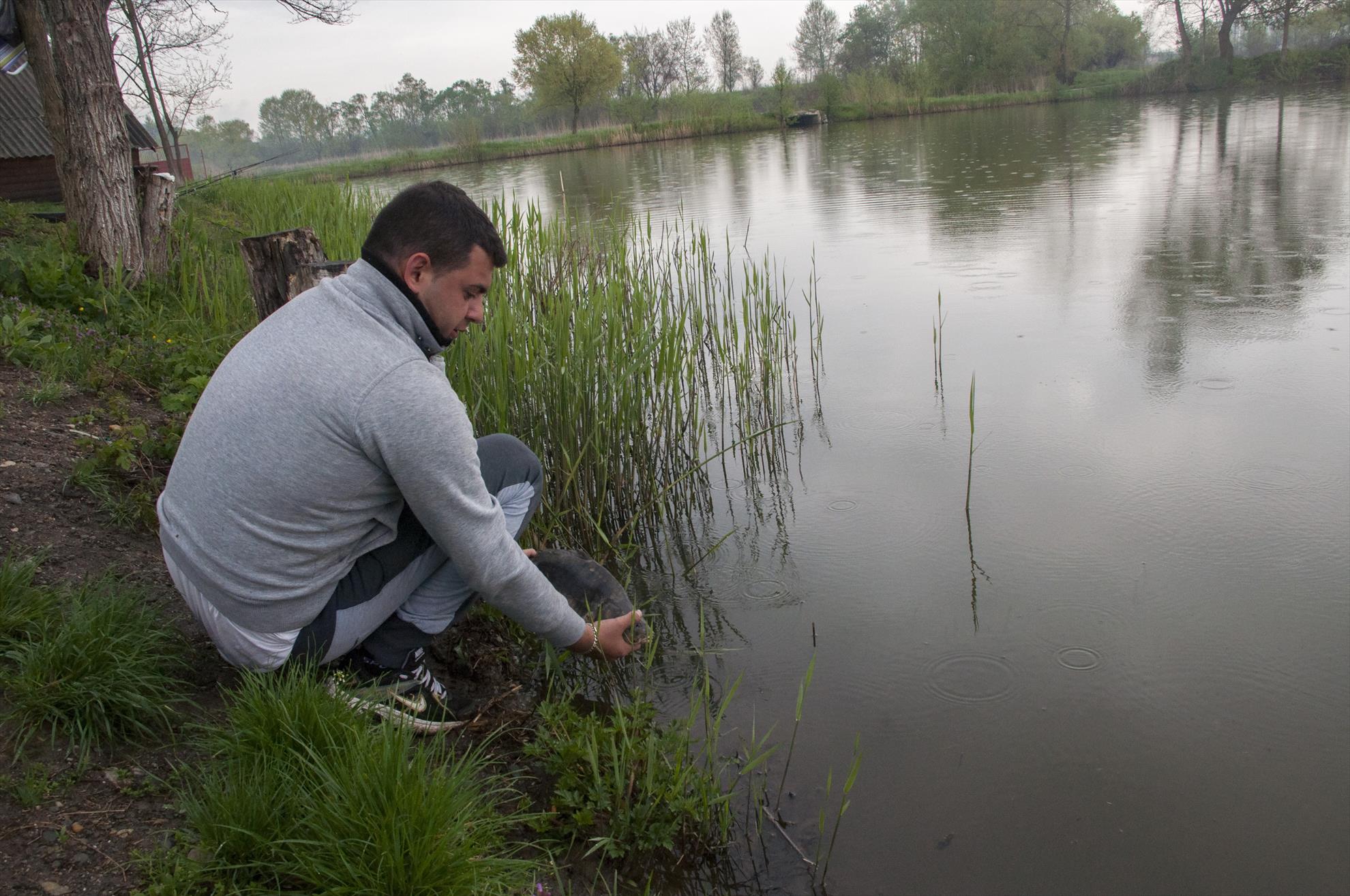 Balta lui Iancu ( colun ) 1 - 3 mai 2015 - dsc0235edit.jpg